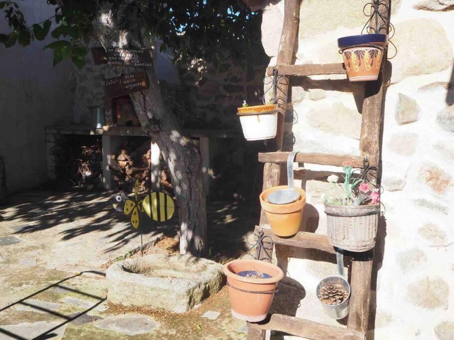 El Guindo * Ávila