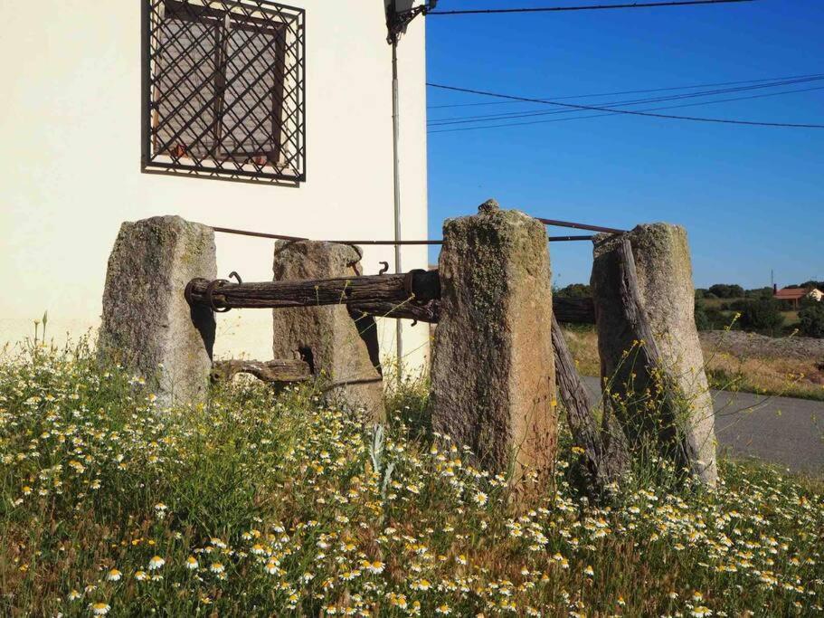 Casa vacanze El Guindo
