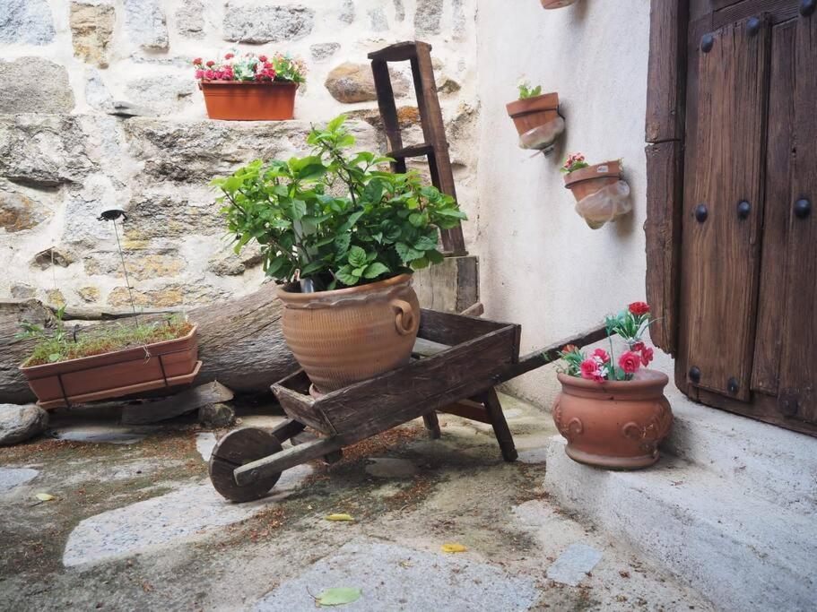 El Guindo Casa vacanze Ávila